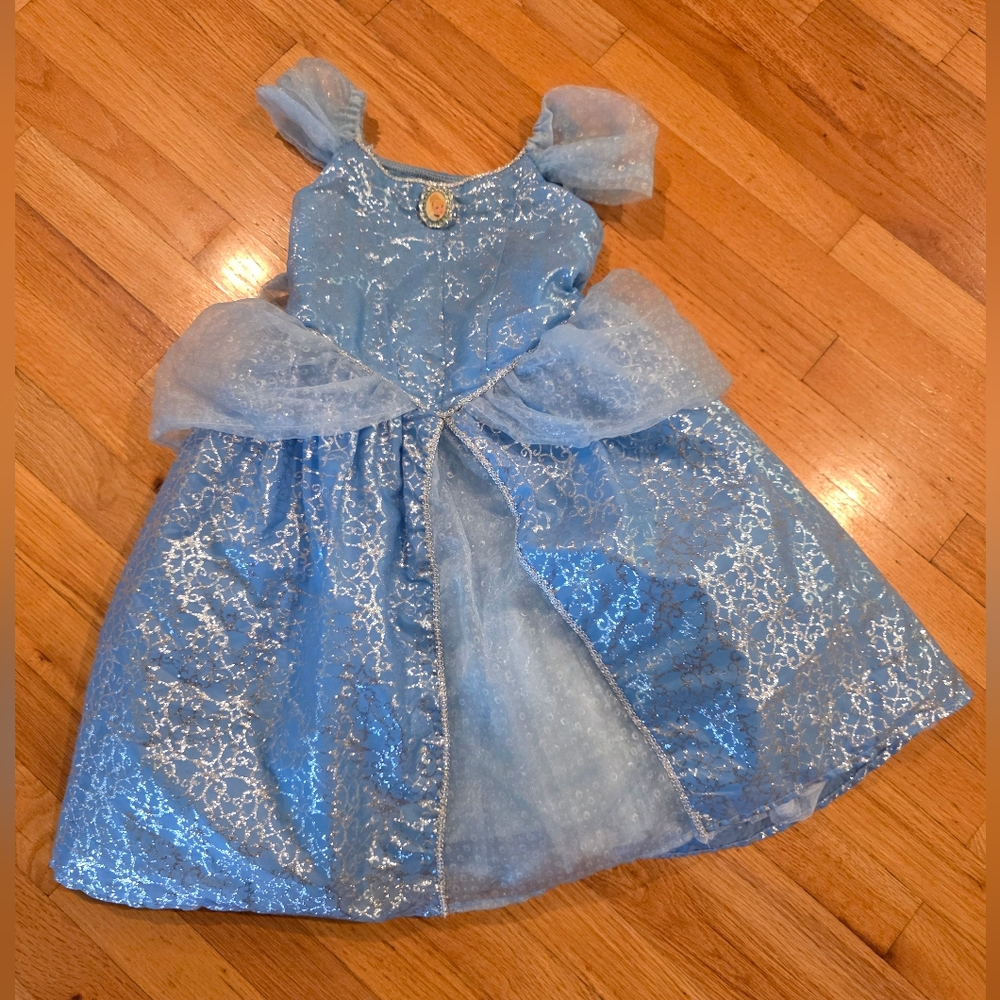 Disney parks Cinderella dress